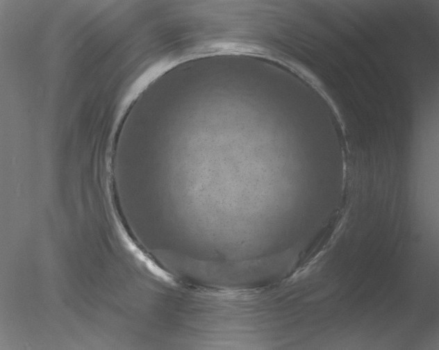 X0000078031381200611031526