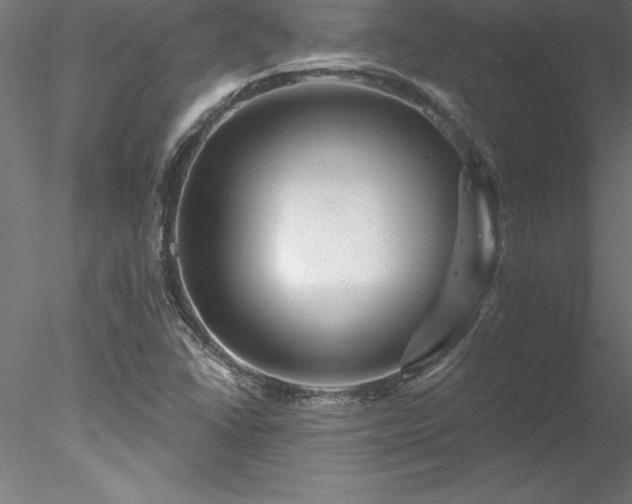 X0000078031406200611031526