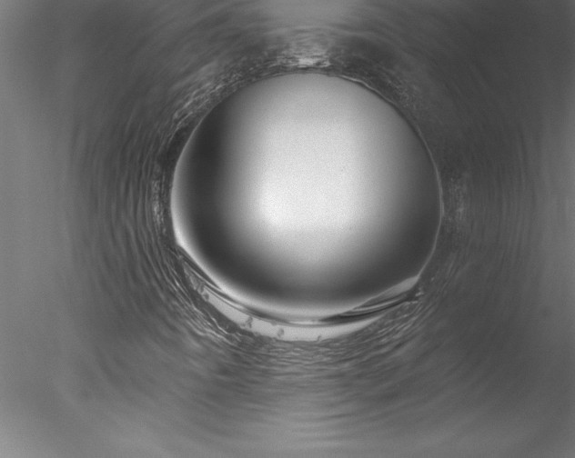 X0000078031442200611031525