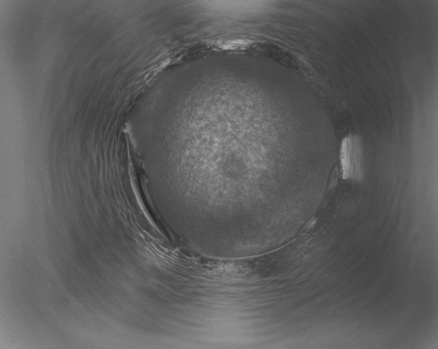 X0000078031443200611031525