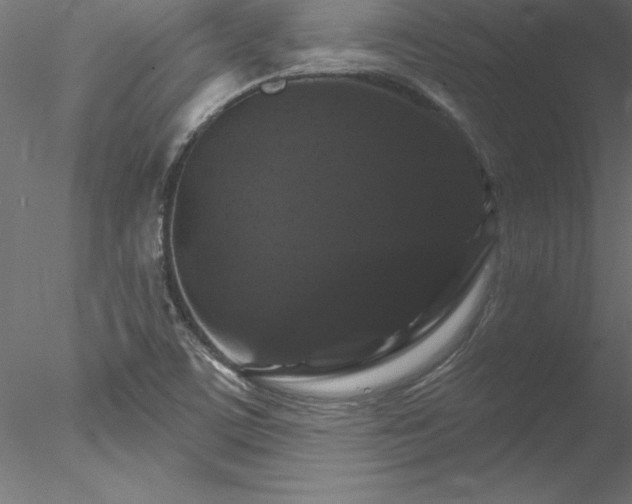 X0000078031459200611031525