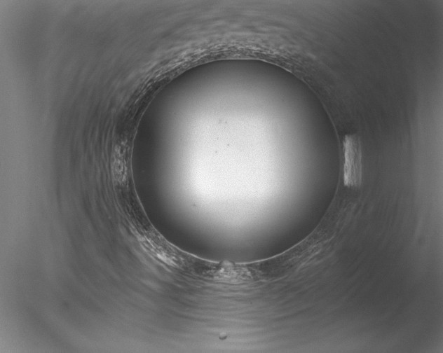 X0000078031491200611031524