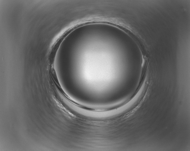 X0000078031502200611031524