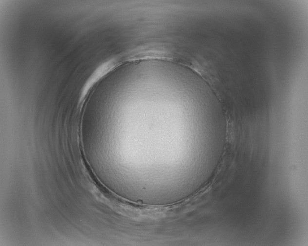 X0000078030004200611101925
