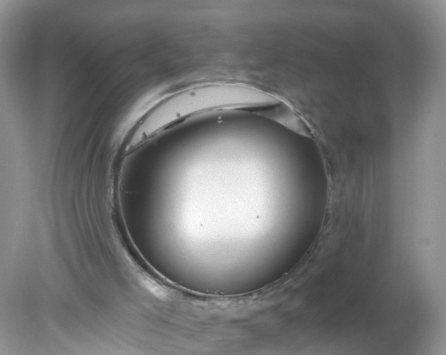 X0000078030005200611101925
