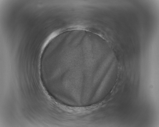 X0000078030006200611101925