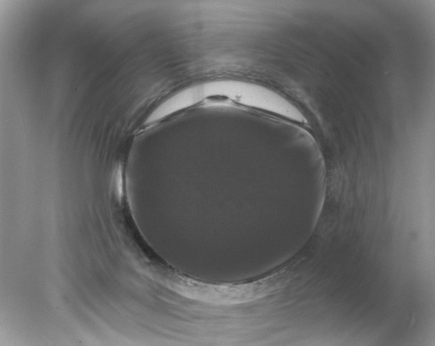 X0000078030027200611101924