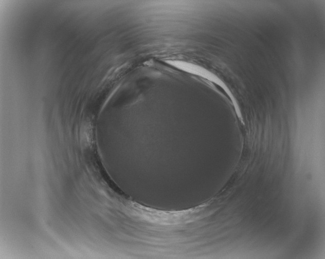 X0000078030035200611101924