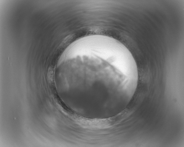 X0000078030036200611101924