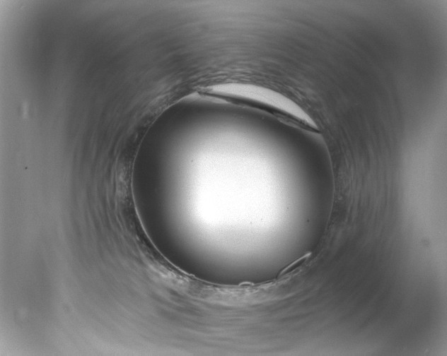 X0000078030037200611101924