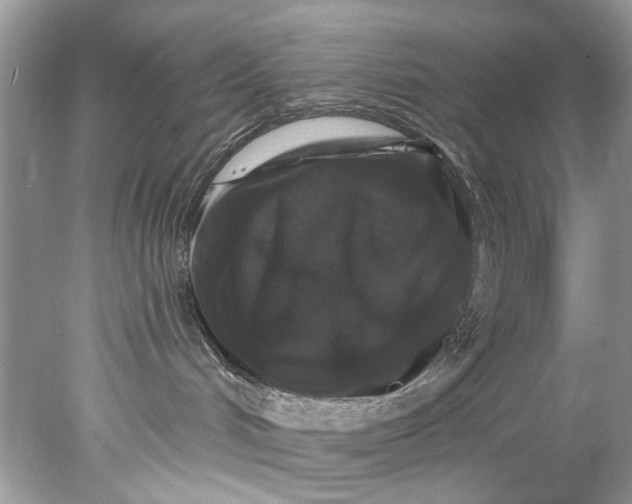 X0000078030048200611101924