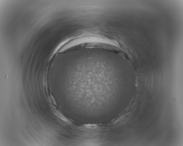 X0000078030052200611101923