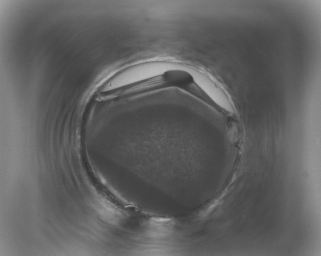 X0000078030055200611101923