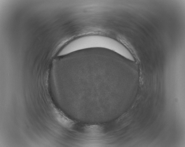 X0000078030058200611101923
