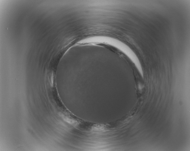 X0000078030076200611101924
