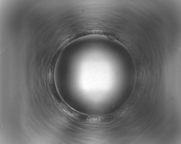 X0000078030084200611101924
