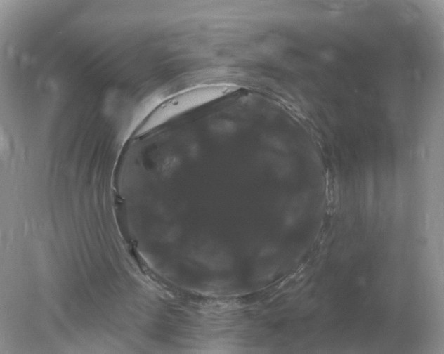 X0000078030099200611101923