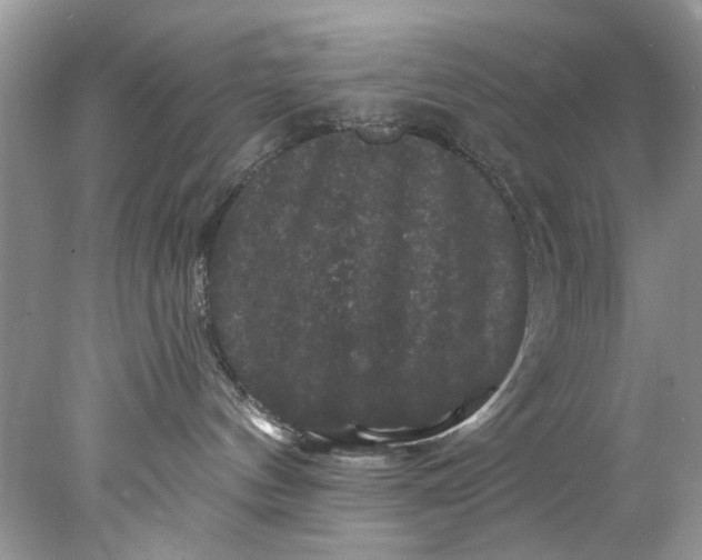 X0000078030144200611101922