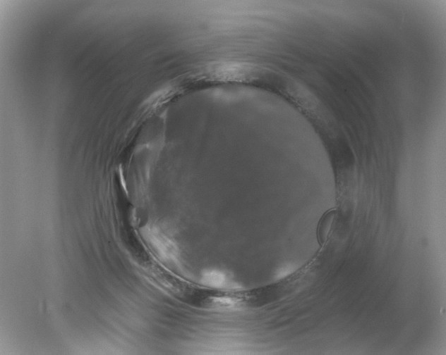 X0000078030167200611101922