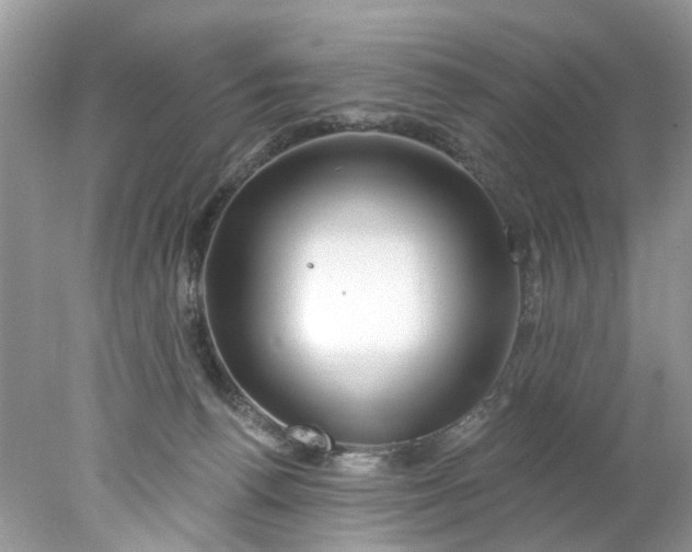 X0000078030176200611101922