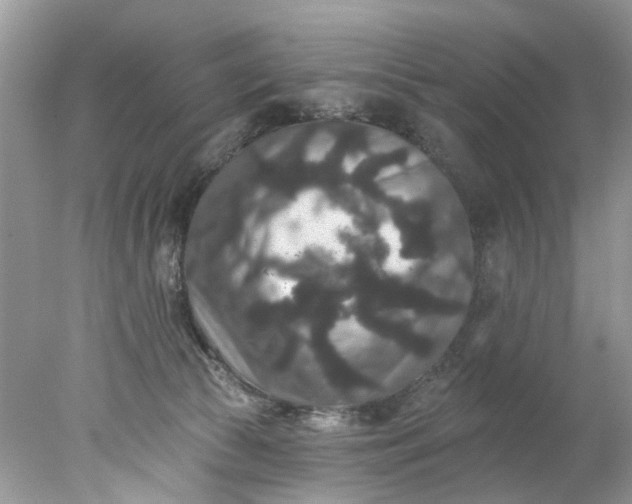 X0000078030177200611101922