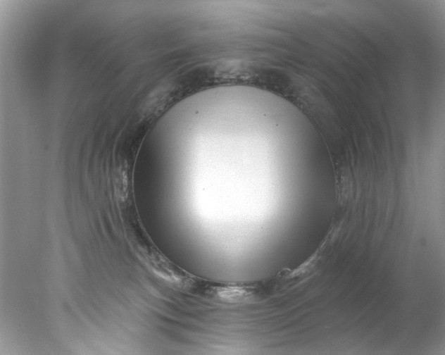 X0000078030183200611101922