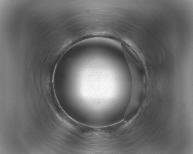 X0000078030201200611101921