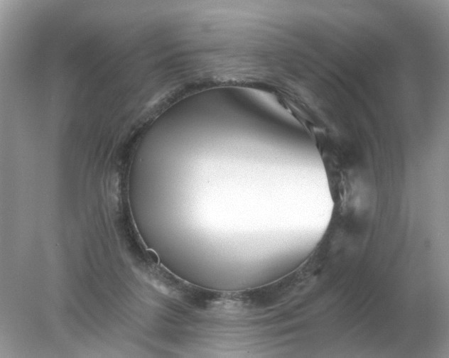 X0000078030211200611101921