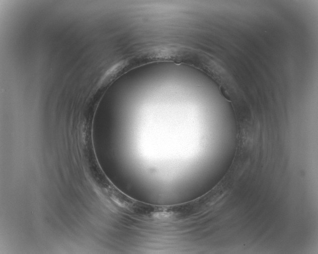 X0000078030216200611101921