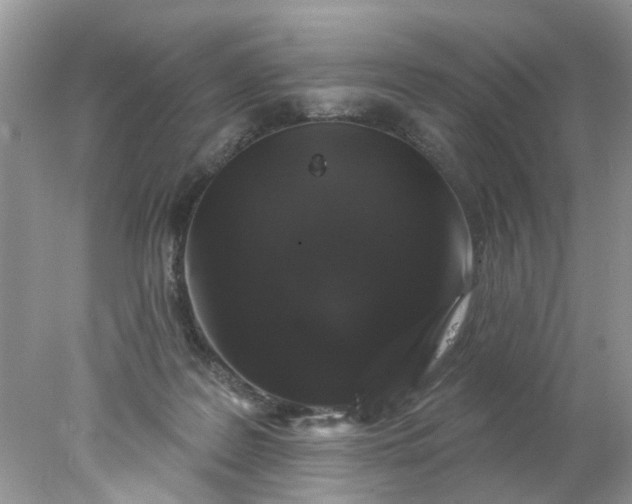 X0000078030219200611101921