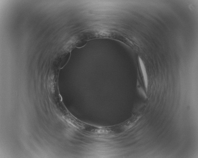 X0000078030223200611101921