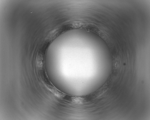 X0000078030226200611101921