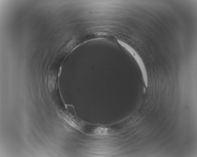 X0000078030227200611101921