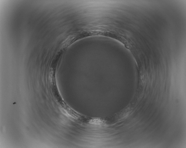 X0000078030231200611101921