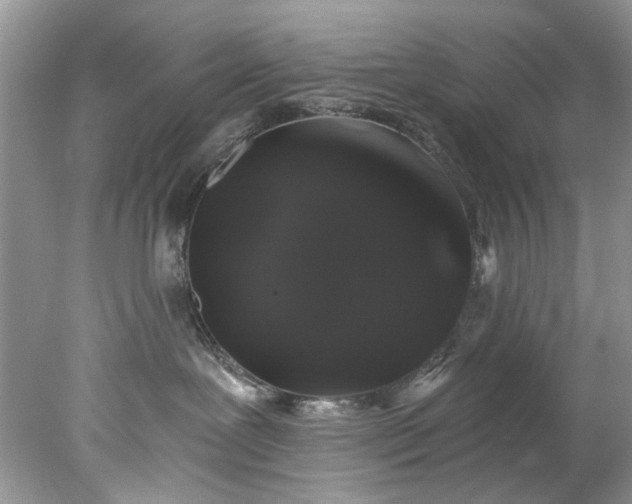 X0000078030239200611101921