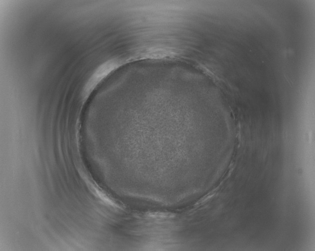 X0000078030242200611101920