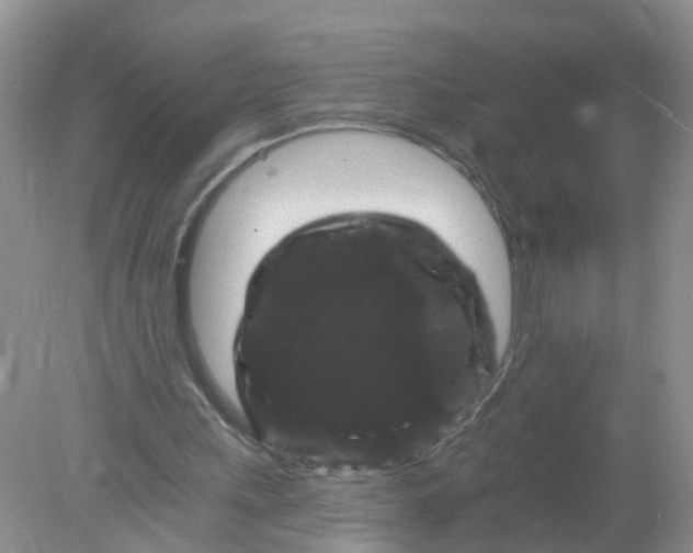 X0000078030243200611101920