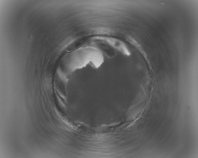 X0000078030249200611101920