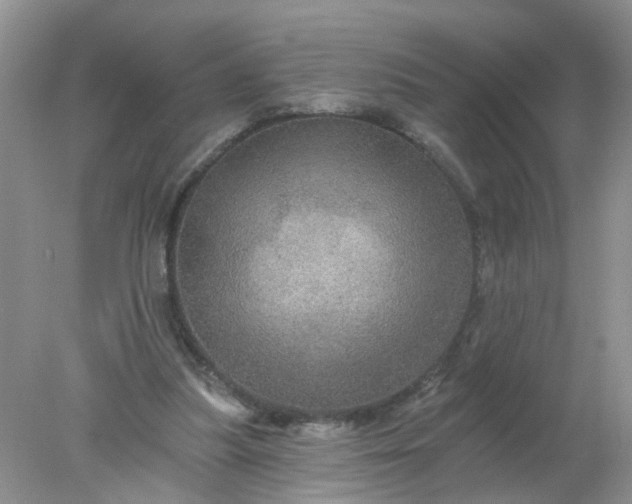 X0000078030251200611101920