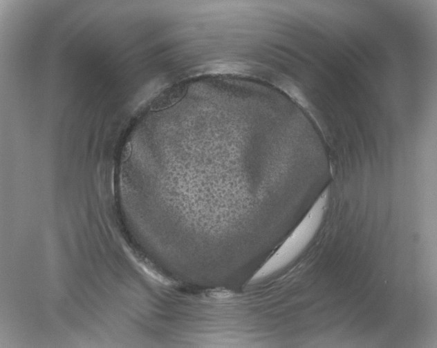 X0000078030253200611101920
