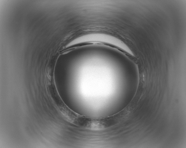 X0000078030264200611101920