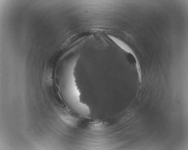 X0000078030267200611101920