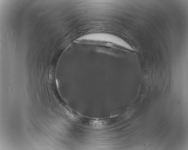 X0000078030277200611101921