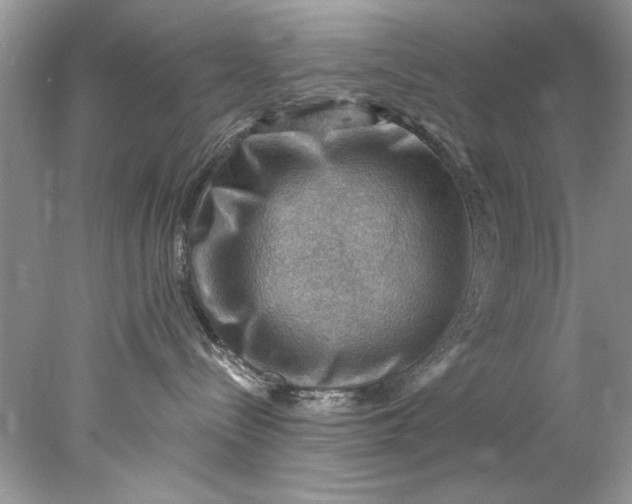 X0000078030288200611101921
