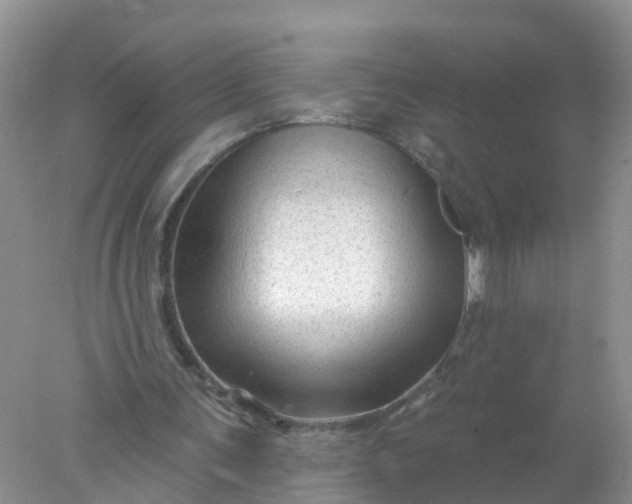 X0000078030291200611101920