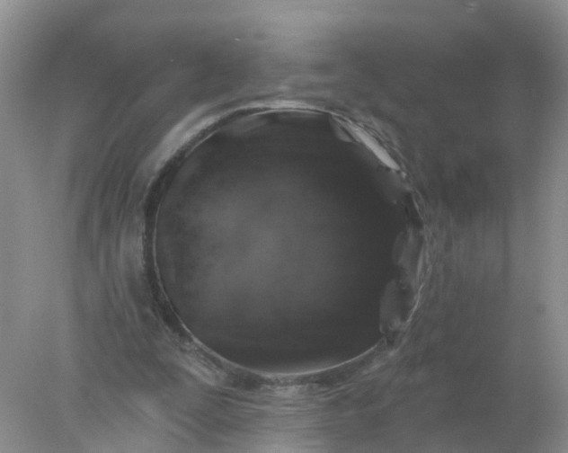 X0000078030295200611101920
