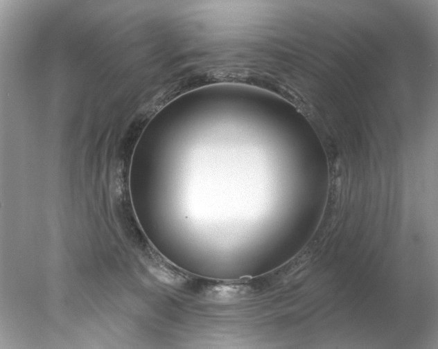 X0000078030323200611101919