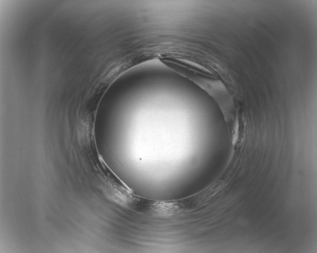 X0000078030333200611101919