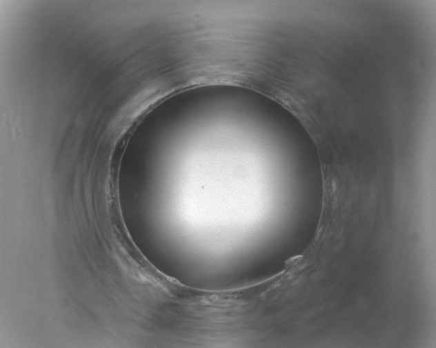 X0000078030338200611101918