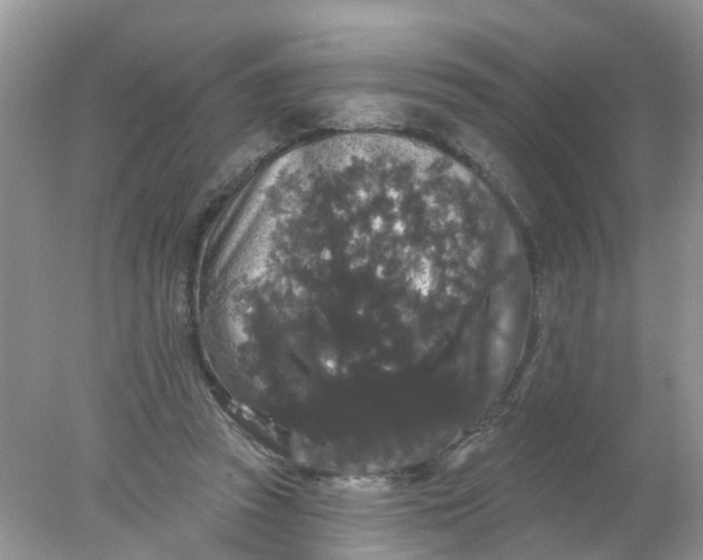 X0000078030353200611101919